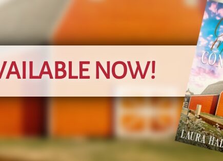 Sweet Mountain Ranch Book 3