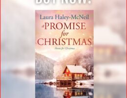 Sweet Christmas Romance